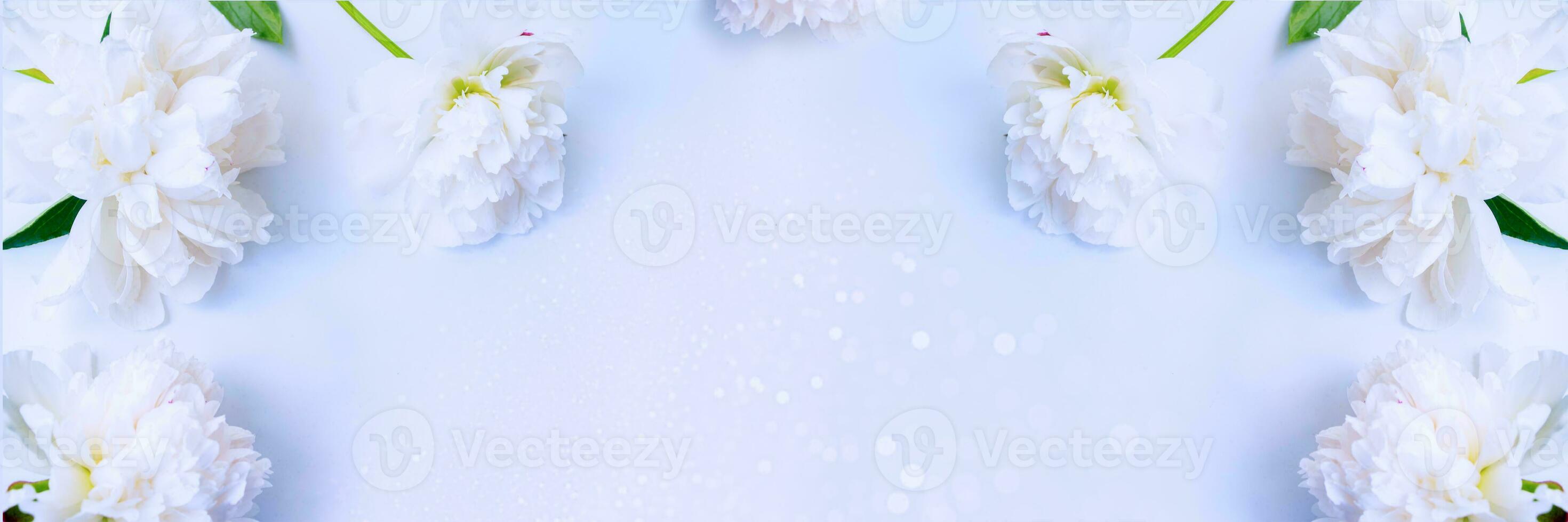 Colorful peony flowers. Natural floral composition. photo