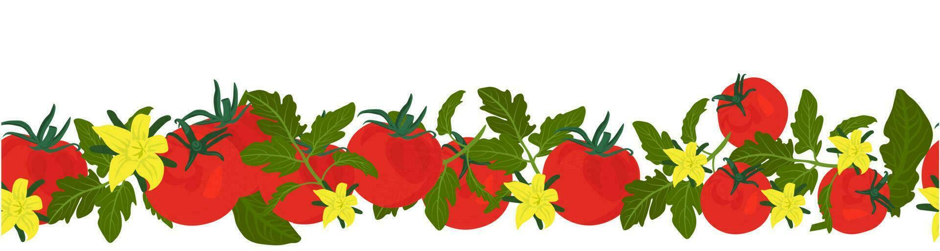 Tomatoes horizontal border vector stock illustration. Seamless pattern for the kitchen, grocery store. Ribbon pattern of vegetables Isolated background.