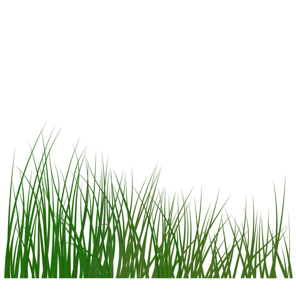 Green grass meadow horizontal border. Vector stock illustration. Isolated on a white background.