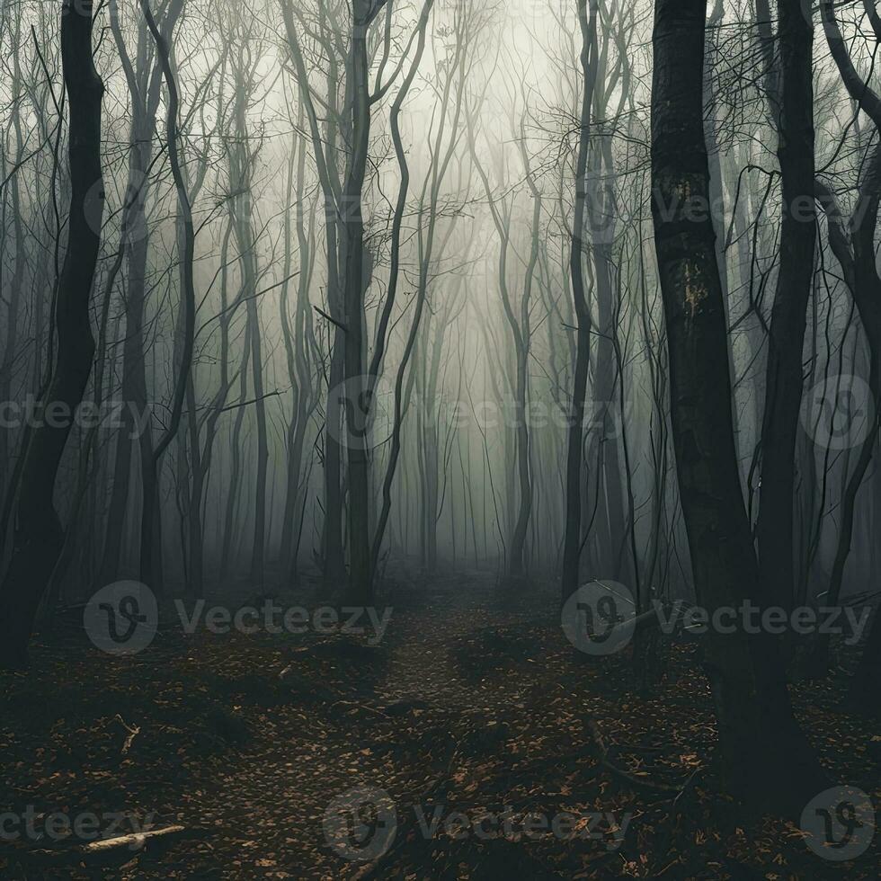 haunting landscape shot of many tree trunks forest spooky haunting creepy mist , generated by AI photo