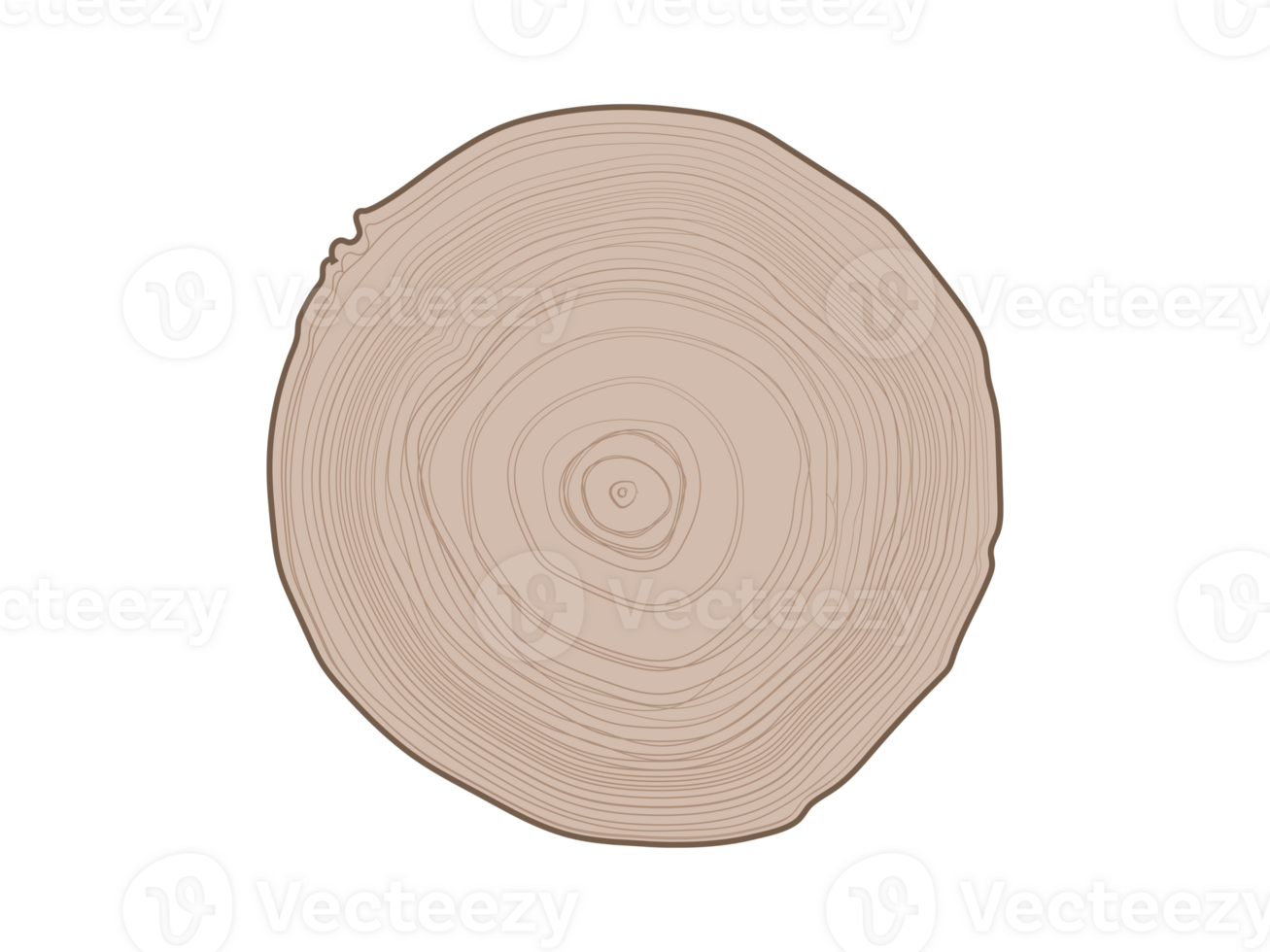 Isolated tree with woodgrain ring natural texture from top view on transparent background png