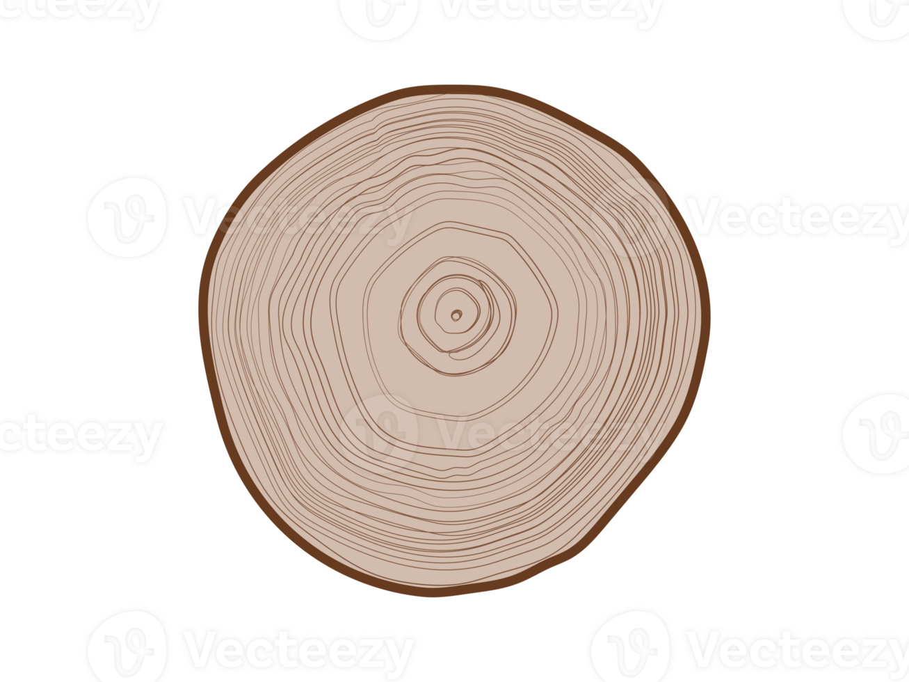 Isolated tree with woodgrain ring natural texture from top view on transparent background png