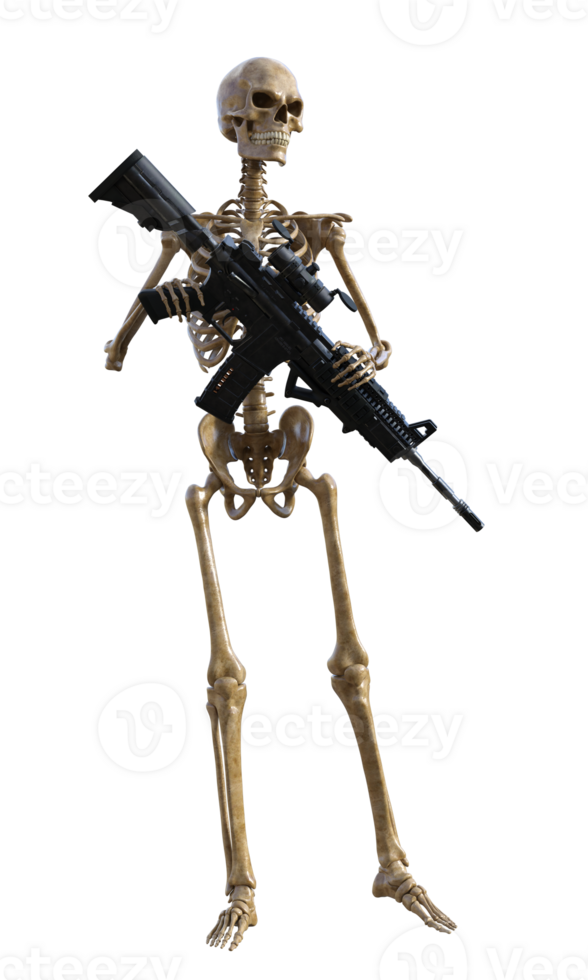 Human skeleton on transparent background, 3d render png