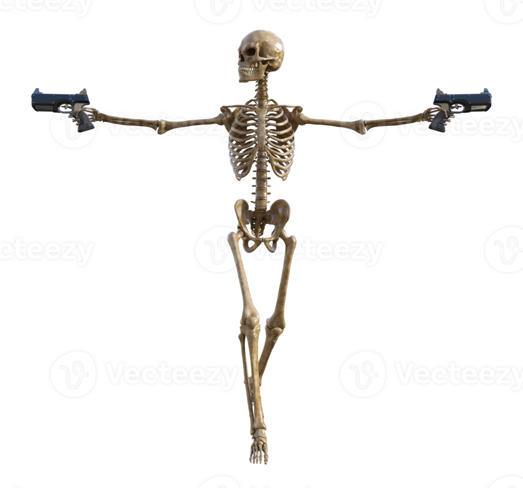 Human skeleton on transparent background, 3d render png