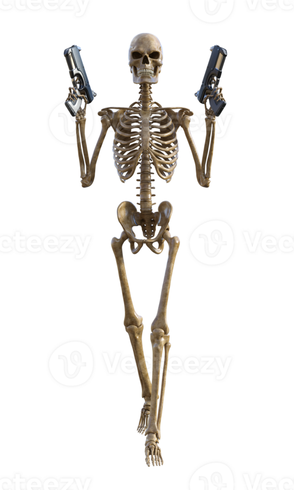 Human skeleton on transparent background, 3d render png