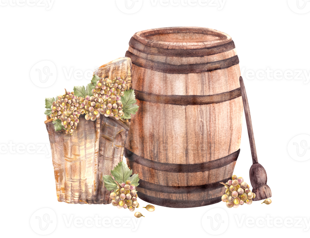 Wine barrel and winemaking harvest, wicker basket, crusher, bunches of grapes, grapevine Watercolor hand draw Illustration for your label winemaking print, menu, wine list png