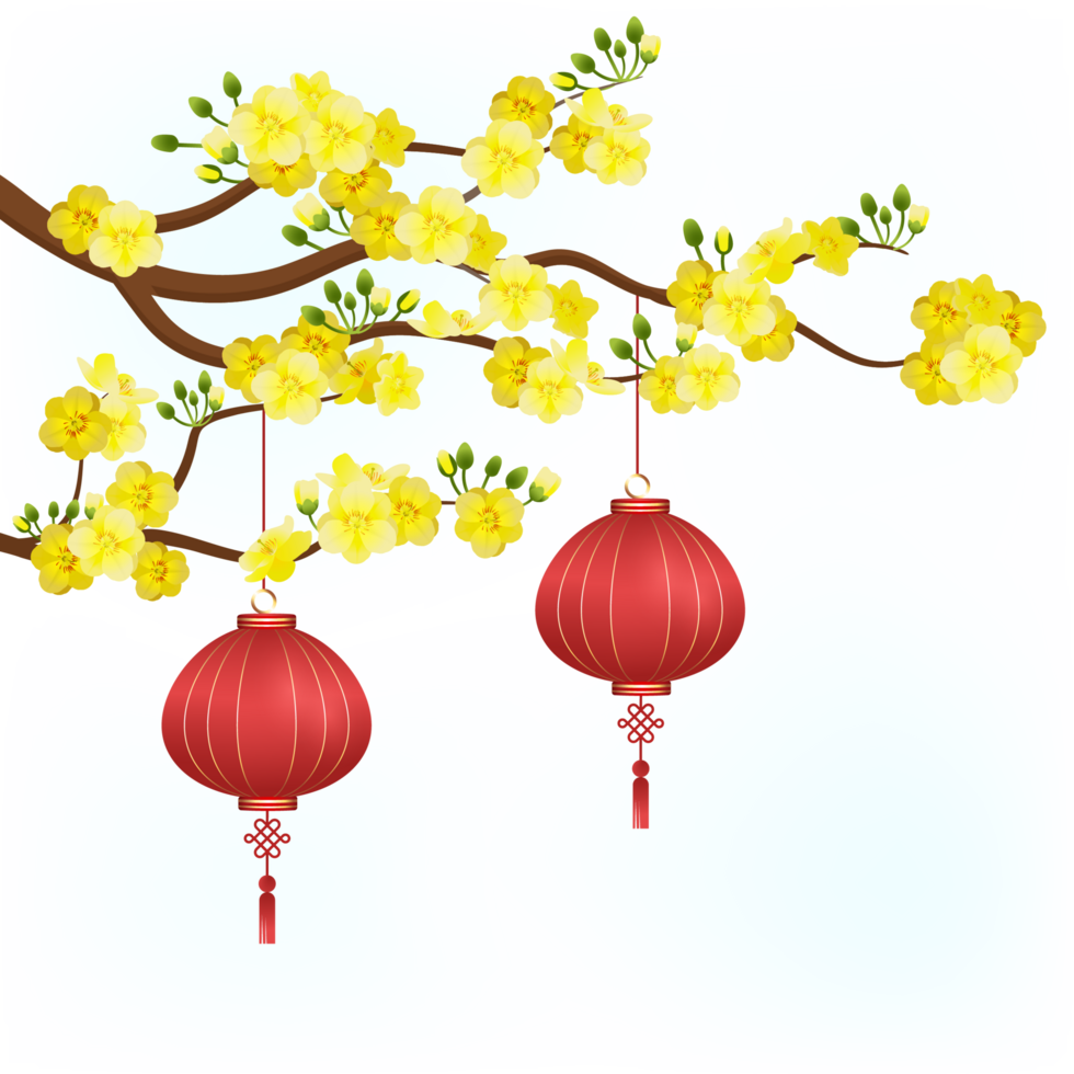Yellow apricot flower with red lampion png