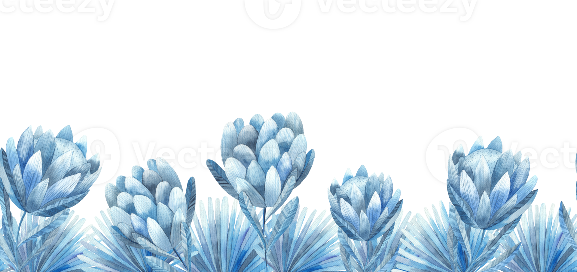 frames with blue tropical leaves pattern png