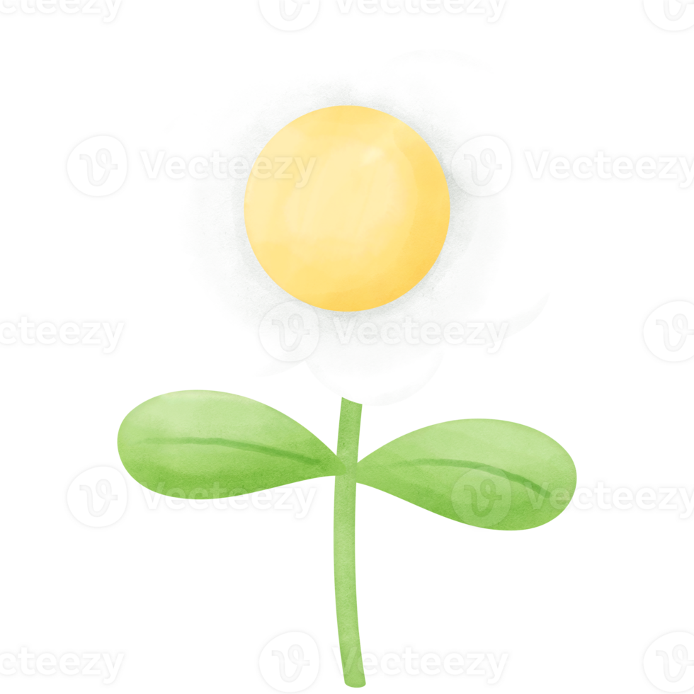 Watercolor flower blooms pastel illustration png