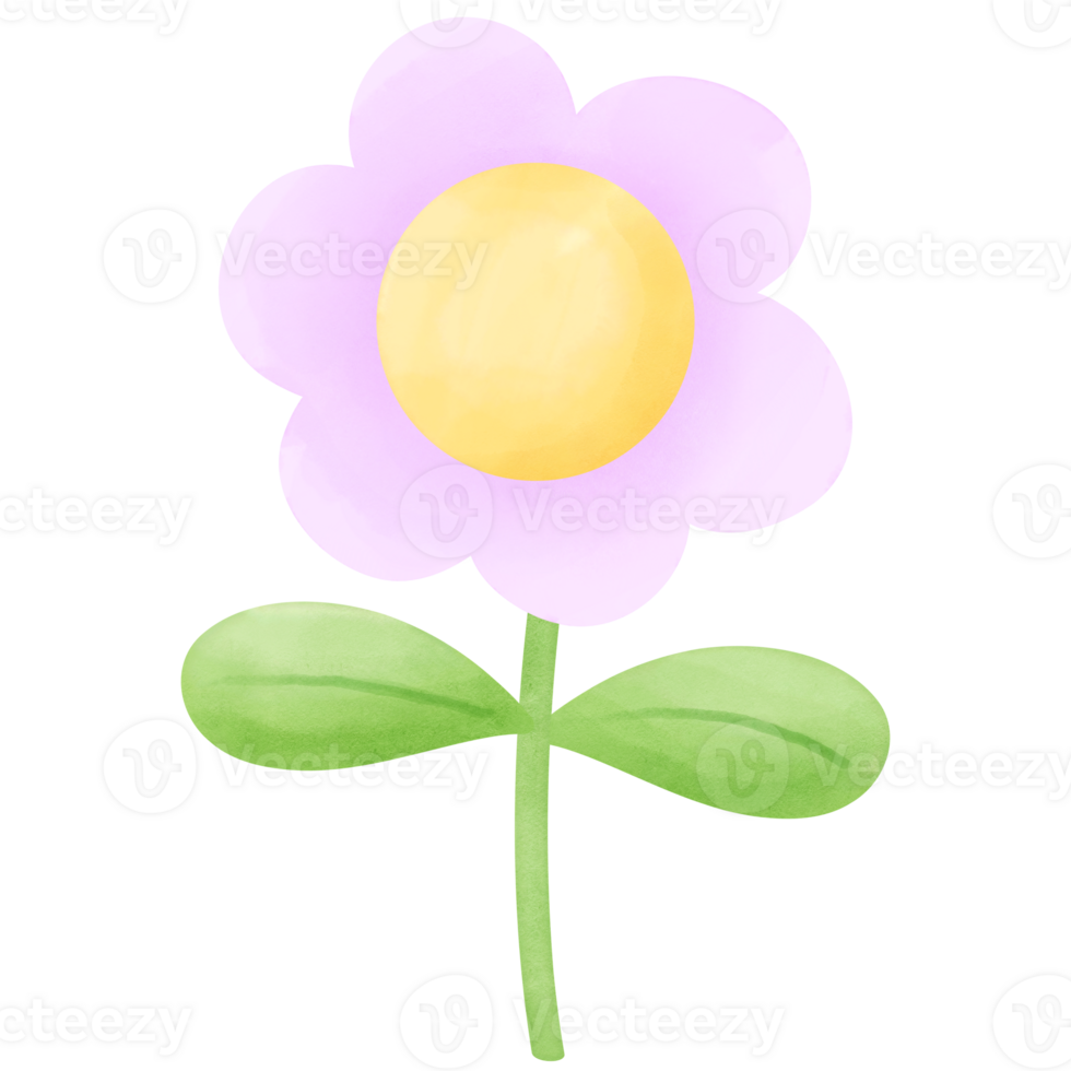 Watercolor flower blooms pastel illustration png