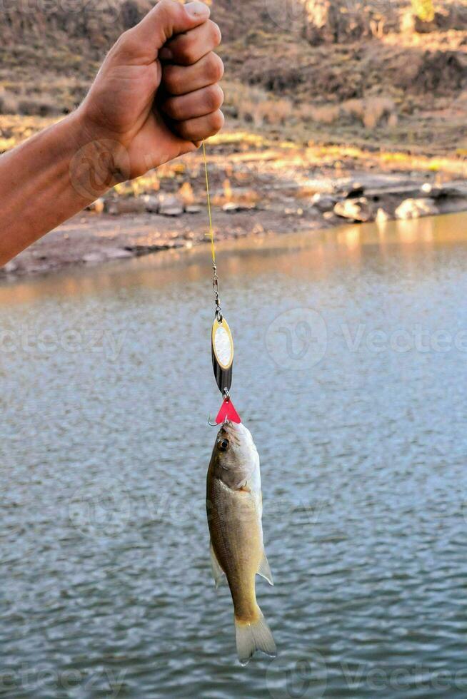 a person holding a fish on a fishing lure photo