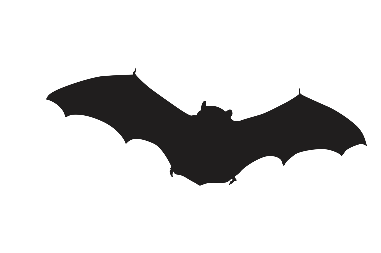 Pose of Bat Silhouette with Transparent Background png