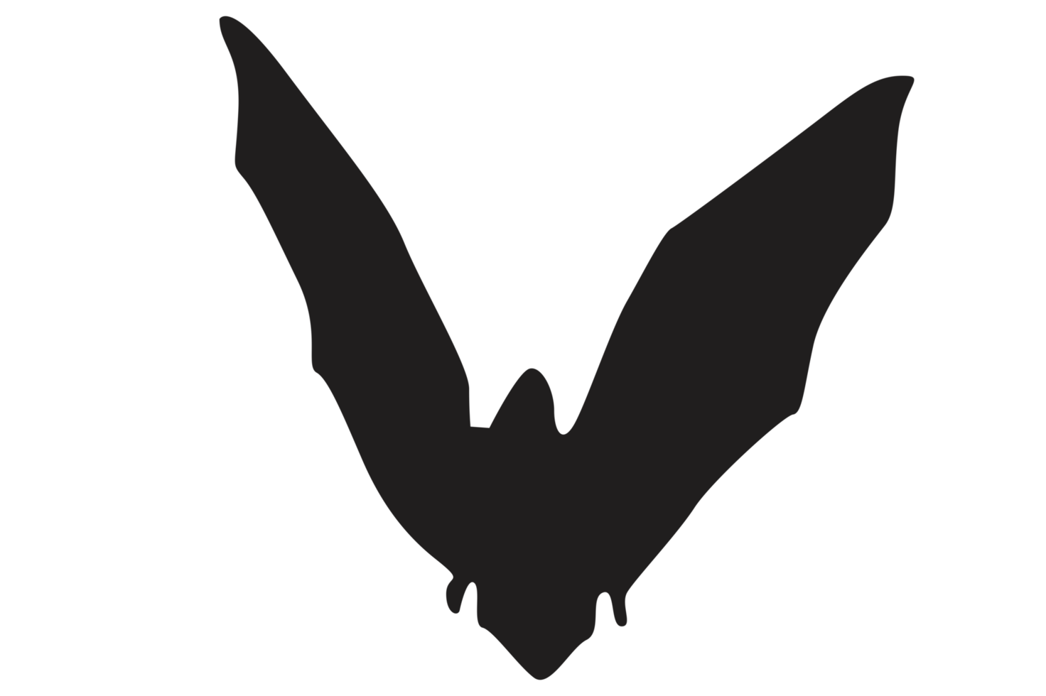 Pose of Bat Silhouette with Transparent Background png