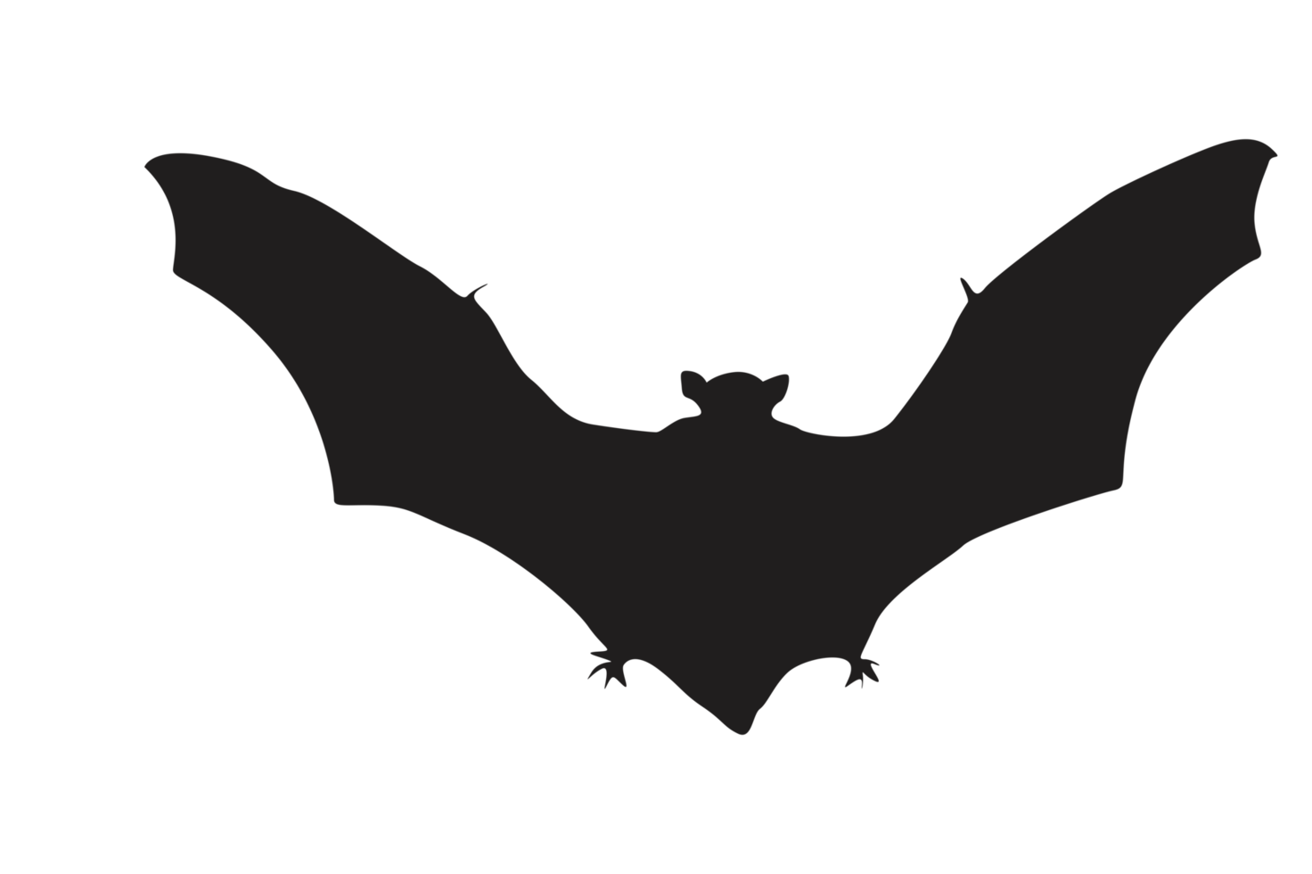 Pose of Bat Silhouette with Transparent Background png