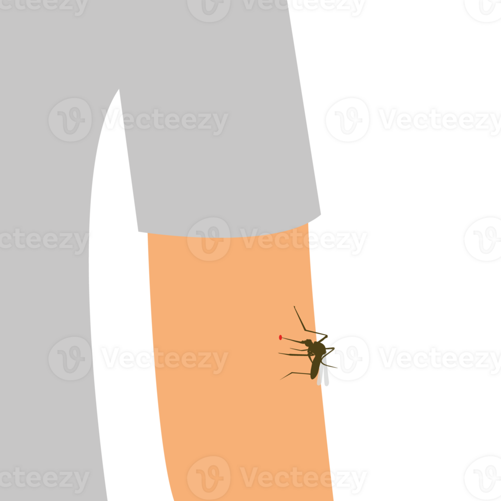 mosquito mordedura en el piel de el humano mano. el insecto picaduras el hombre en su brazos. bebidas sangre. png