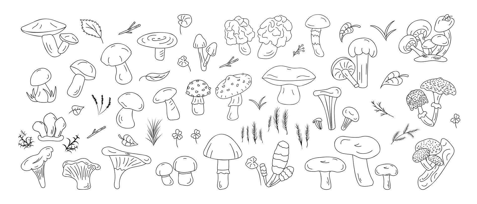 Vector black line icons forest mushrooms edible and inedible different types. Forest herbs, leaves.