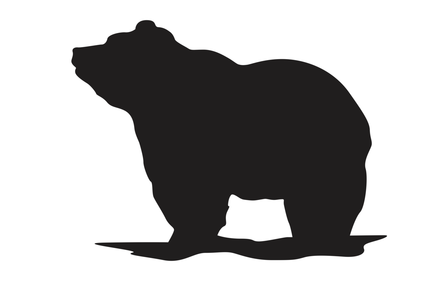 Pose of Bear Silhouette with Transparent Background png