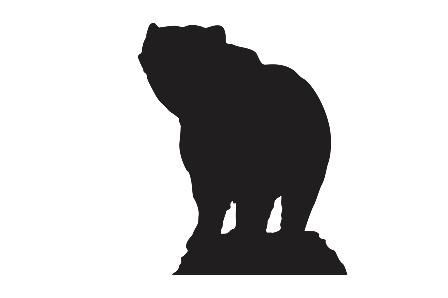 Pose of Bear Silhouette with Transparent Background png