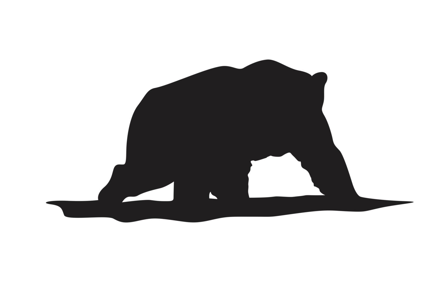 Pose of Bear Silhouette with Transparent Background png