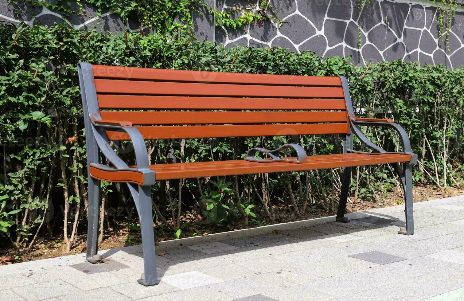 Picture of a Secluded Park Bench photo