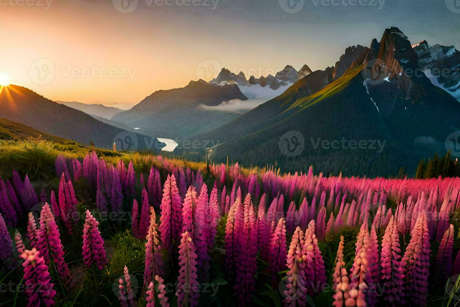 beautiful sunrise over the lupine field in japan. AI
