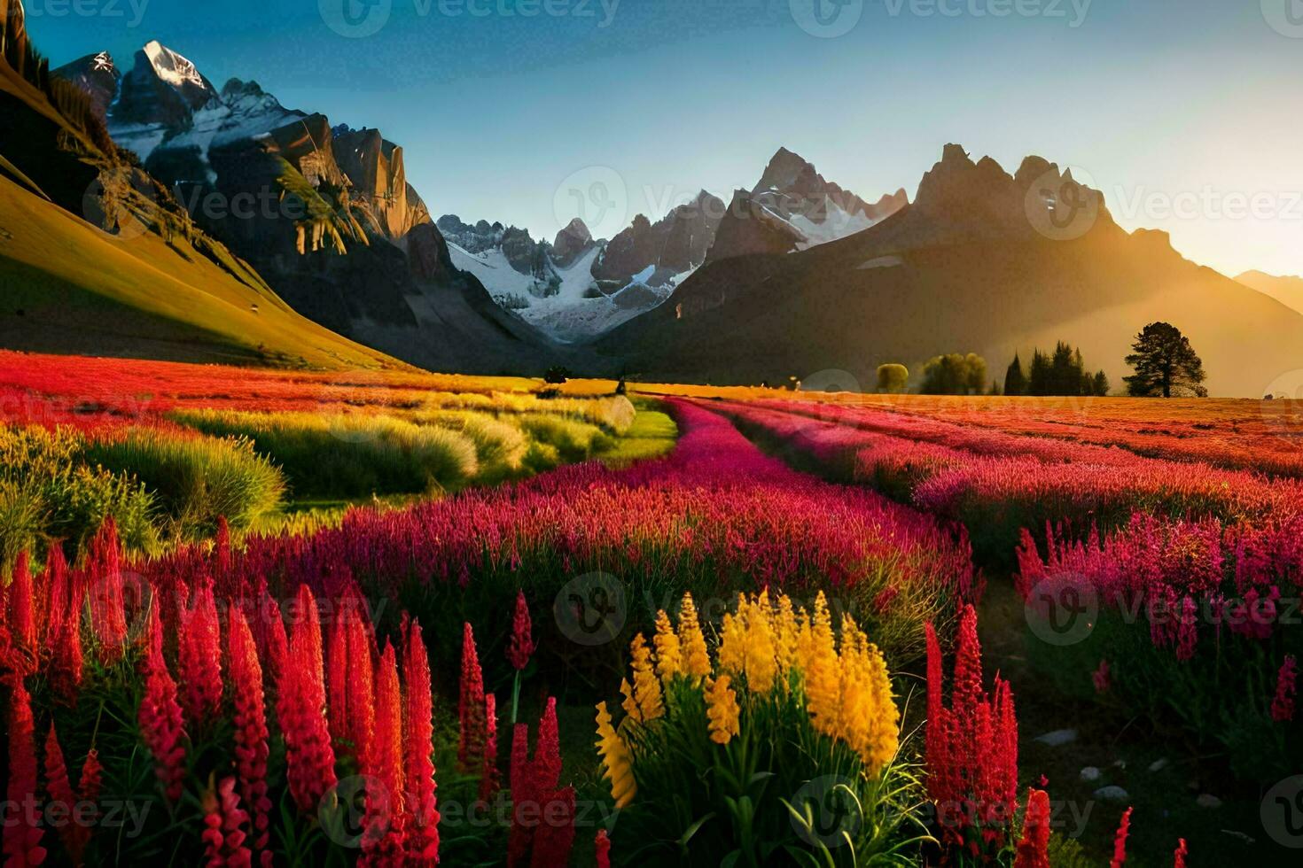 a field of colorful flowers and mountains at sunset. AI-Generated photo