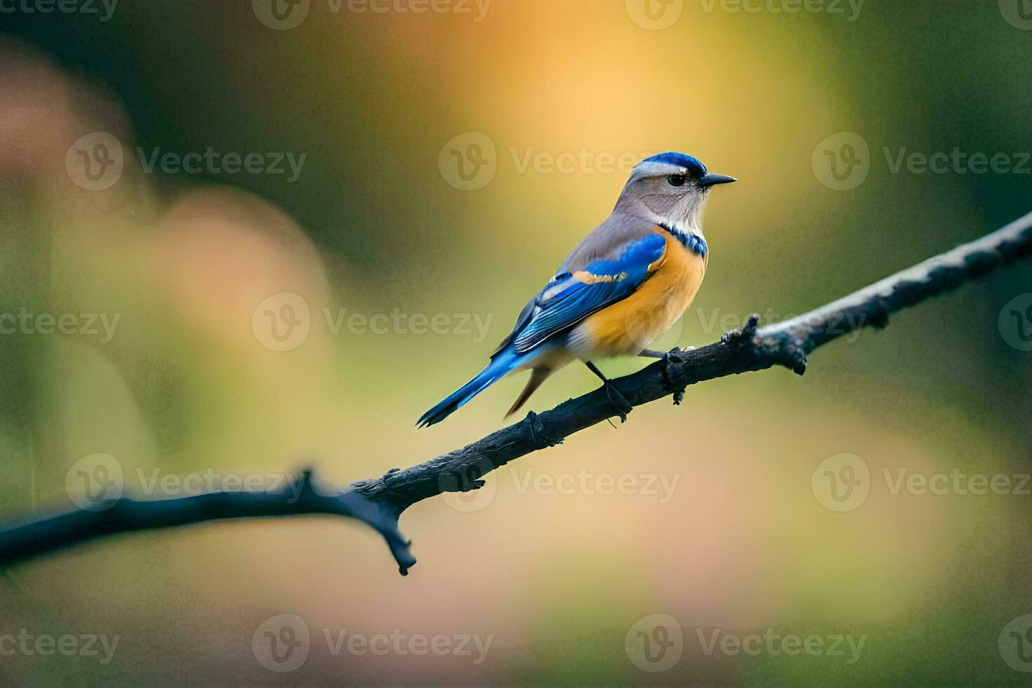 a blue and yellow bird sits on a branch. AI-Generated photo