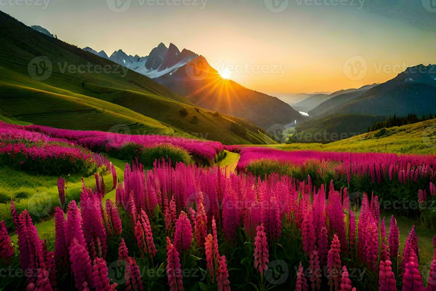 the sun rises over a field of pink flowers. AI-Generated photo