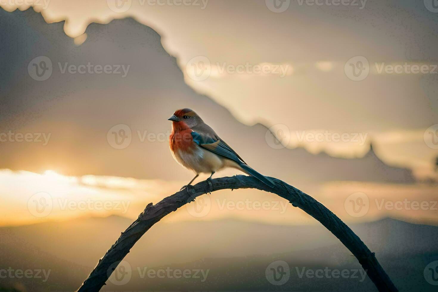 a red bird perched on a branch in front of a sunset. AI-Generated photo