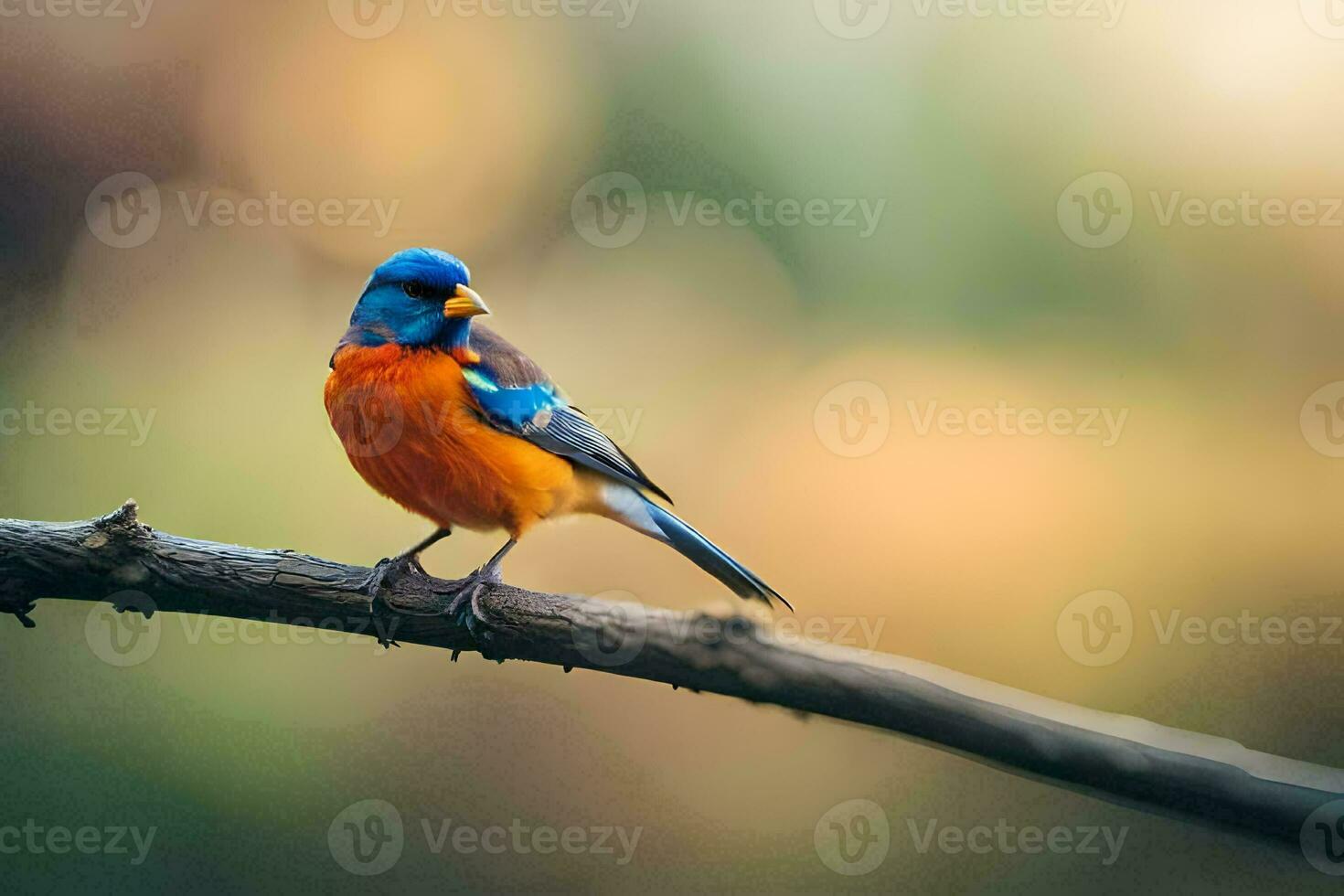 a blue and orange bird sitting on a branch. AI-Generated photo