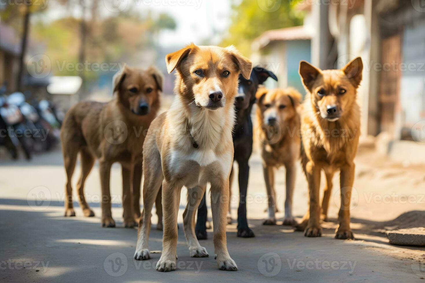 pack of stray stray dogs on a city street. problem of abandoned stray animals. AI Generative photo