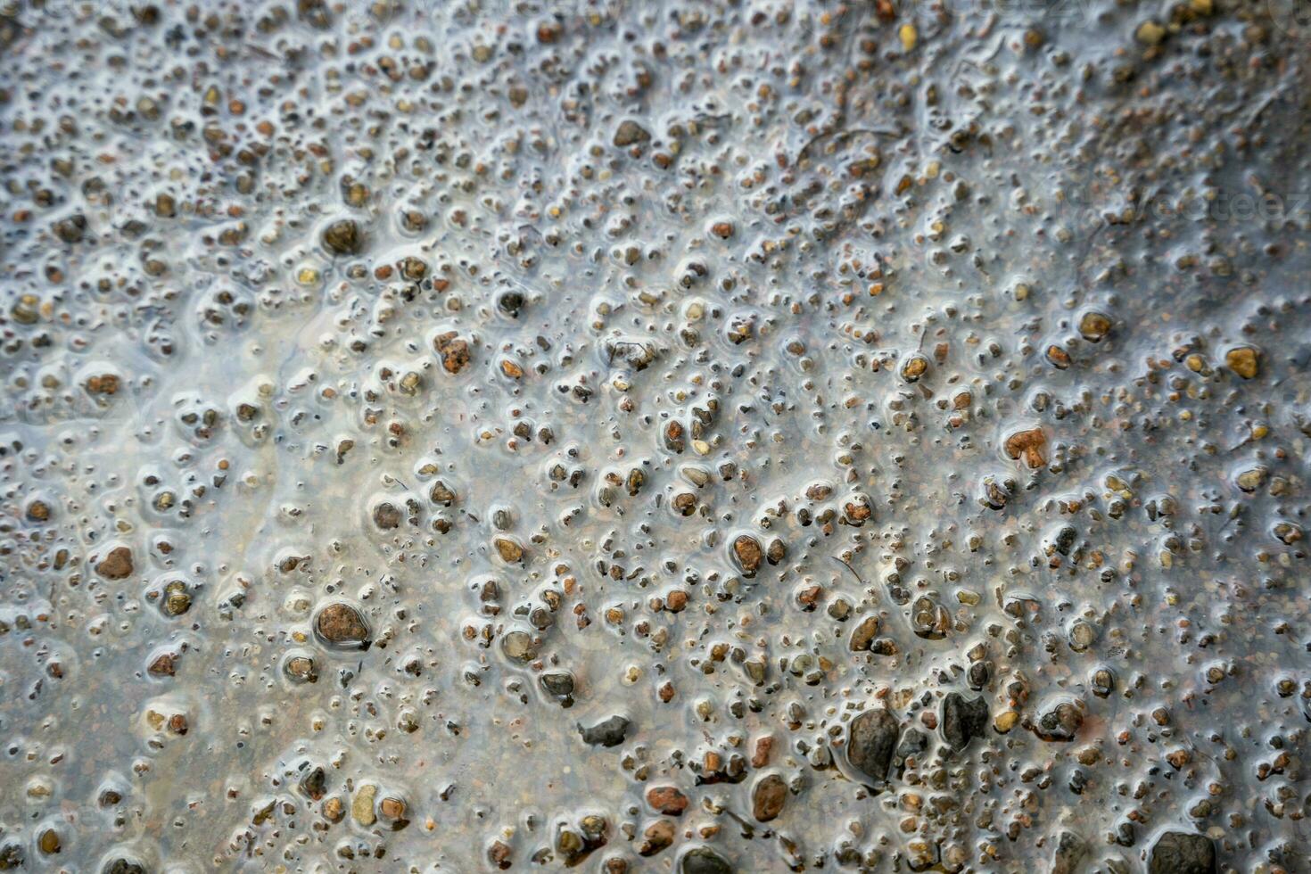 textured background of a wet seashore with gray pebbles. abstract background. photo