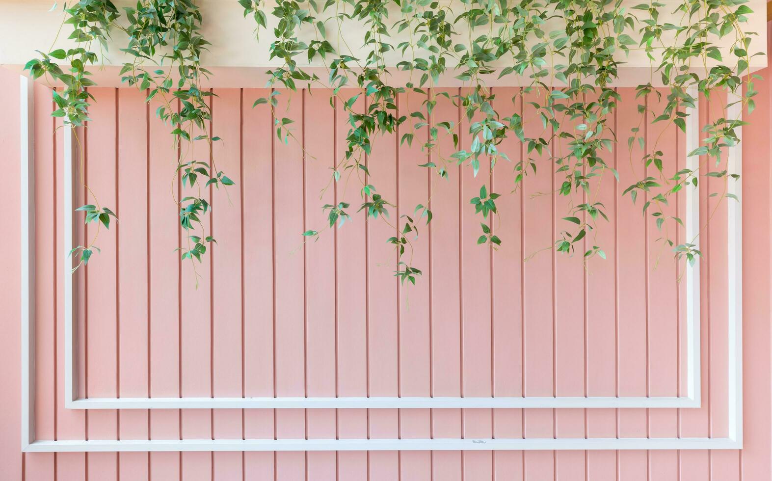 Wooden slats wall with  plants .Wall for use as a Template or Cover Photograph photo