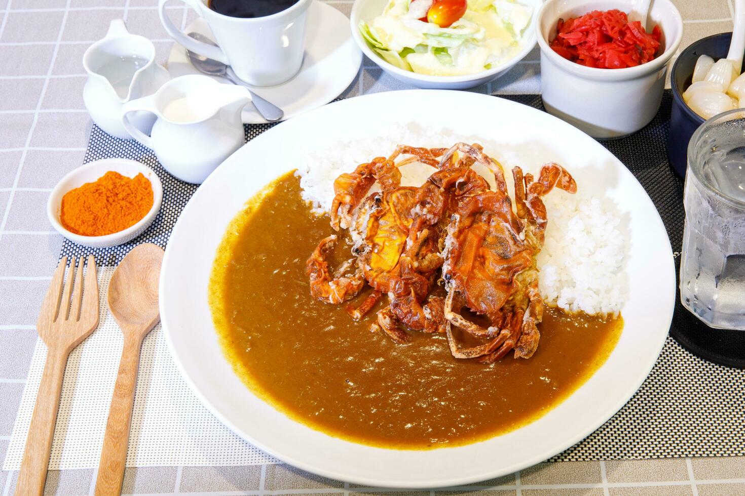 Deep fried Soft Shell Crab with Curry rice photo