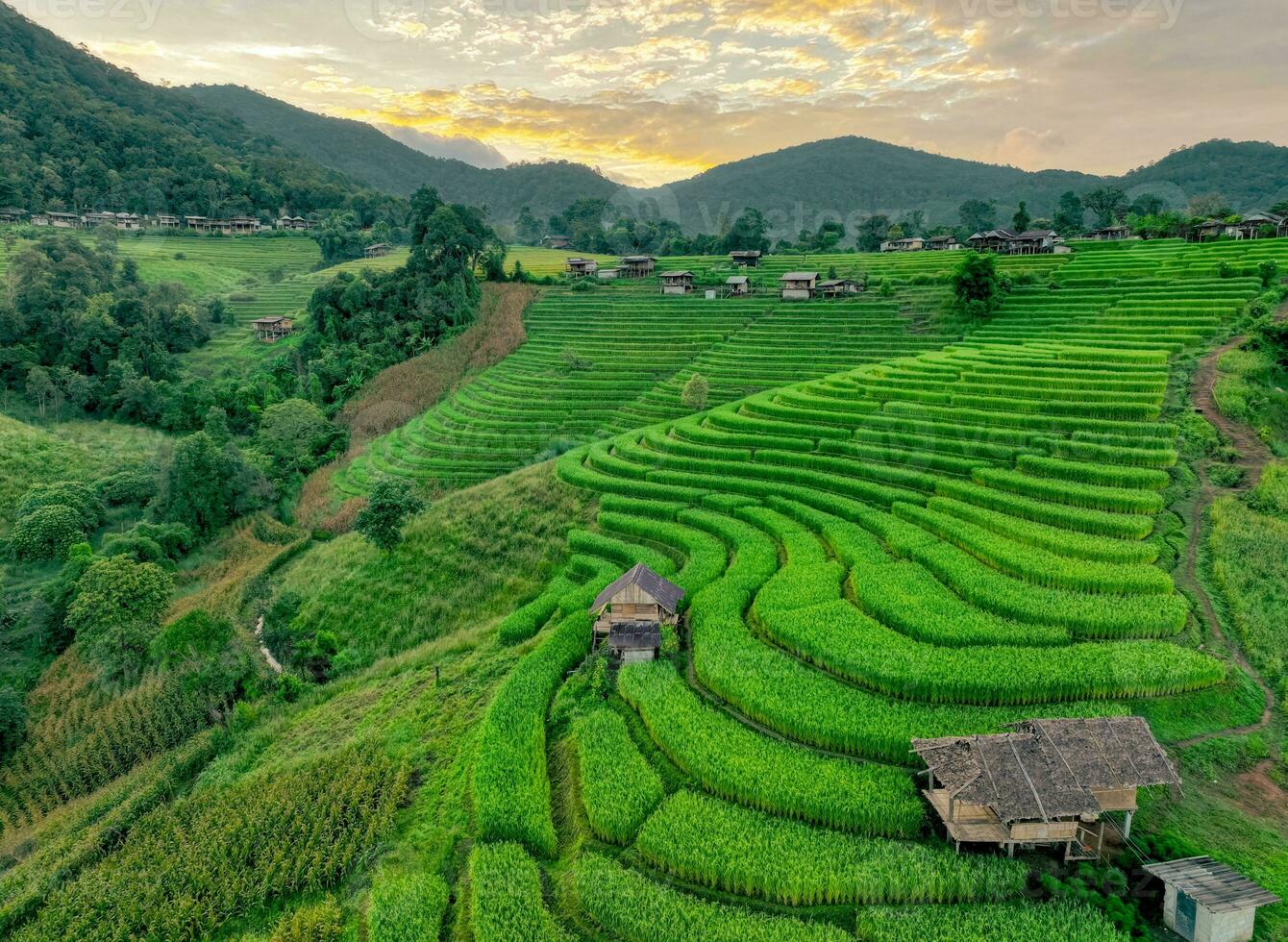 Landscape of green rice terraces amidst mountain agriculture. Travel destinations in Chiangmai, Thailand. Terraced rice fields. Traditional farming. Asian food. Thailand tourism. Nature landscape. photo