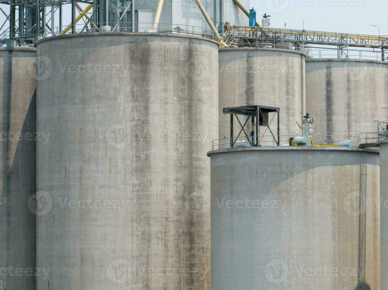 Animal feed factory. Agricultural silos, grain storage silos. Agriculture industry. Rural agribusiness. Grain storage innovation. Agricultural silos at animal feed factory. Sustainable farming. photo