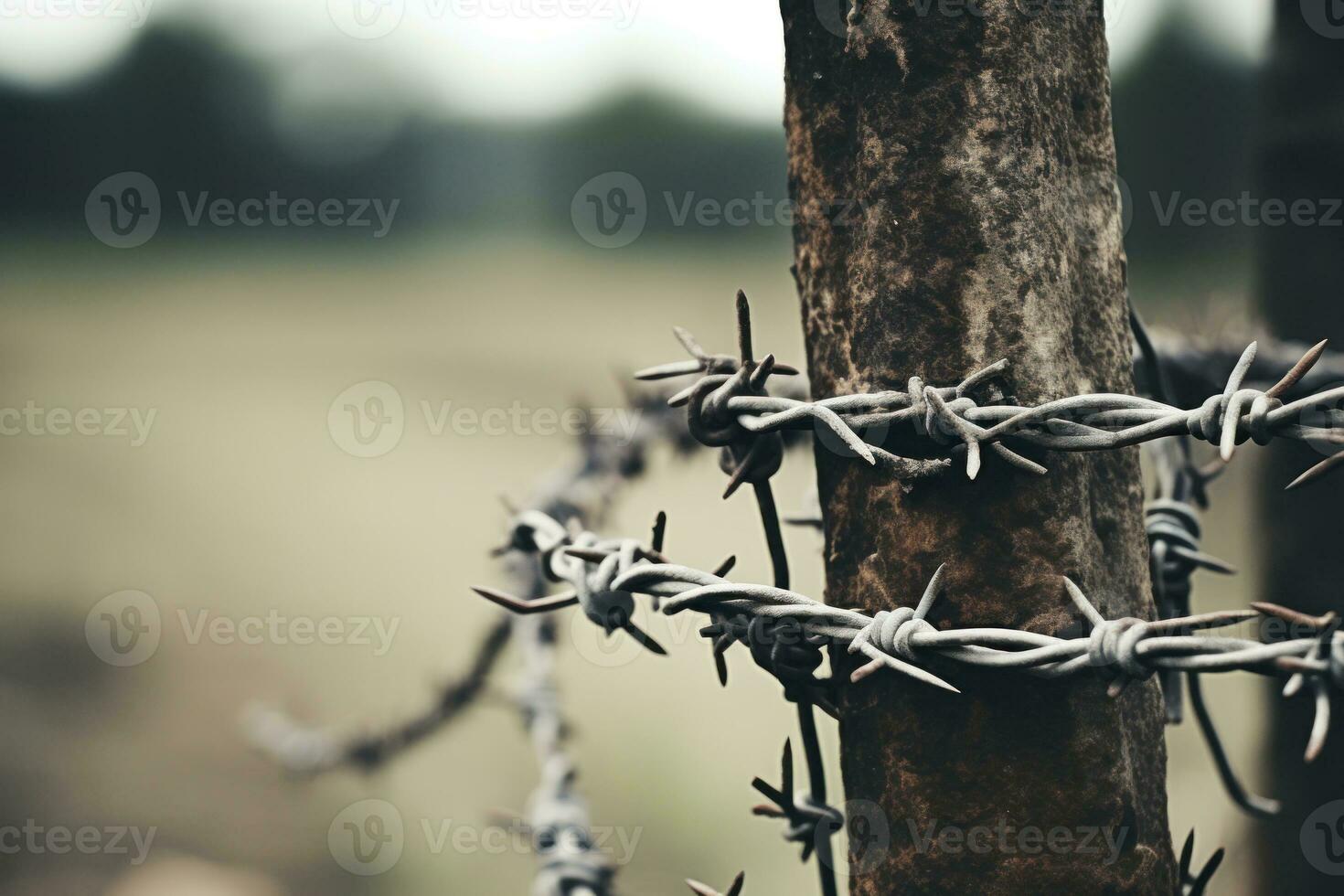 Barbed wire on a fence in the countryside. Isolation. AI Generated photo