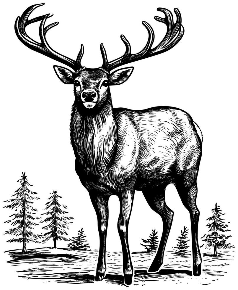 Reindeer in Forest Woodcut vector
