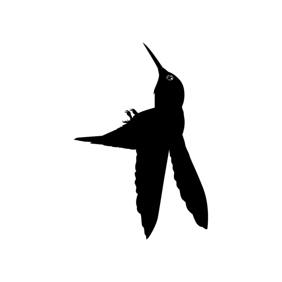 Flying Hummingbird Silhouette, can use Art Illustration, Website, Logo Gram, Pictogram or Graphic Design Element. Vector Illustration