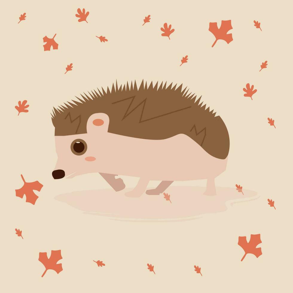 Cute baby Porcupine vector