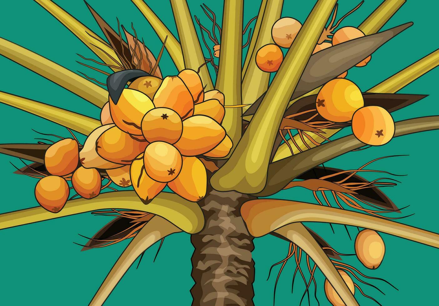 coconut tree palm tree vector with yellow coconut fruit for background design.