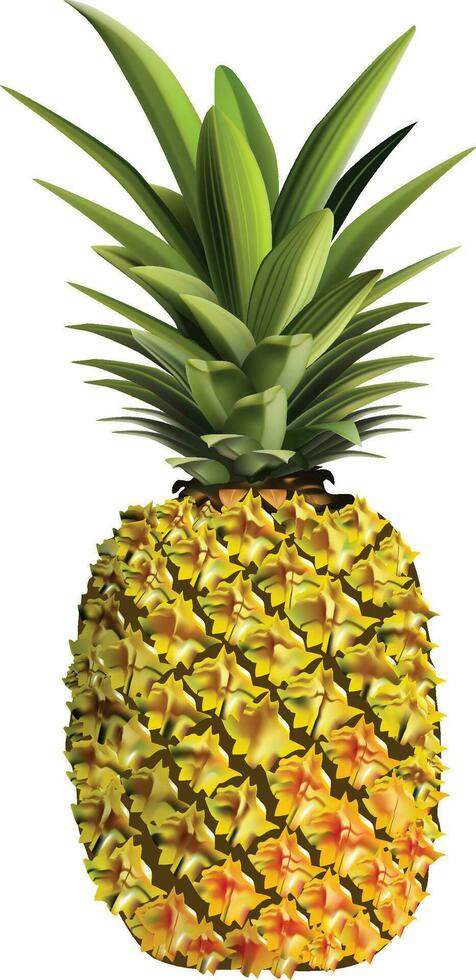 pineapple fruit vector for background design, suitable for brochure, leaflet, booklet.