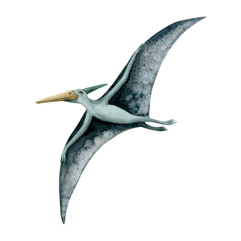 Blue watercolor flying pterodactyl vector illustration. Hand drawn pterosaur with wide wings from dinosaur era