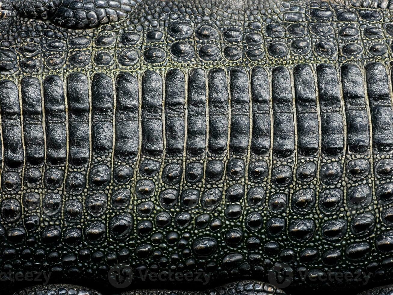 close up crocodile skin background. texture photo