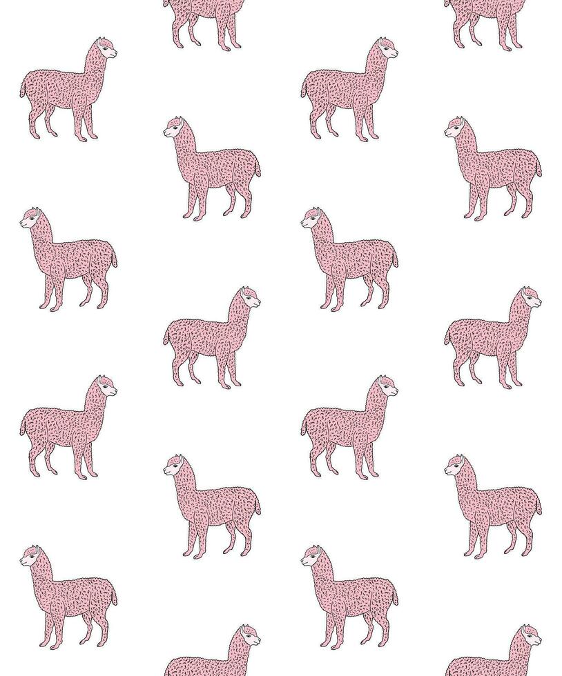 vector sin costura modelo de mano dibujado rosado alpaca
