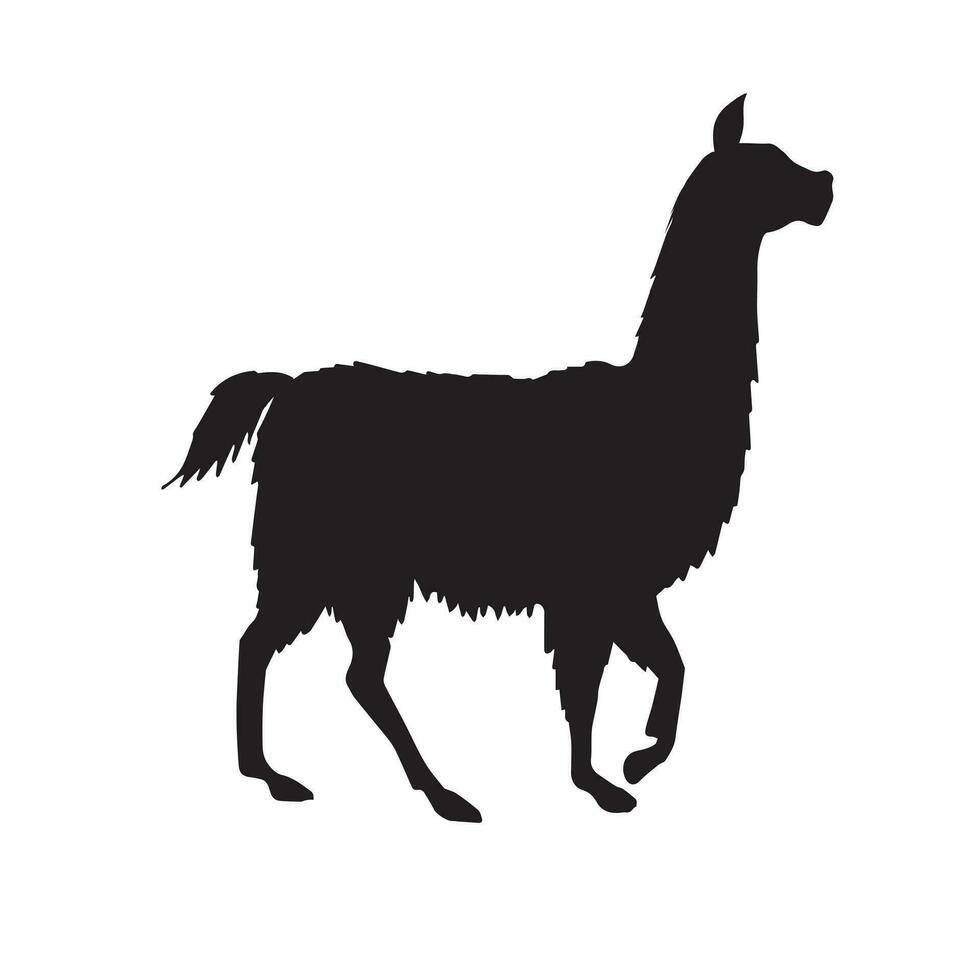 Vector black llama silhouette