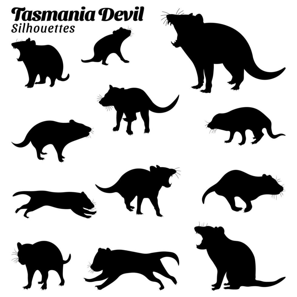 Collection of Silhouette illustrations of tasmania devil animal vector