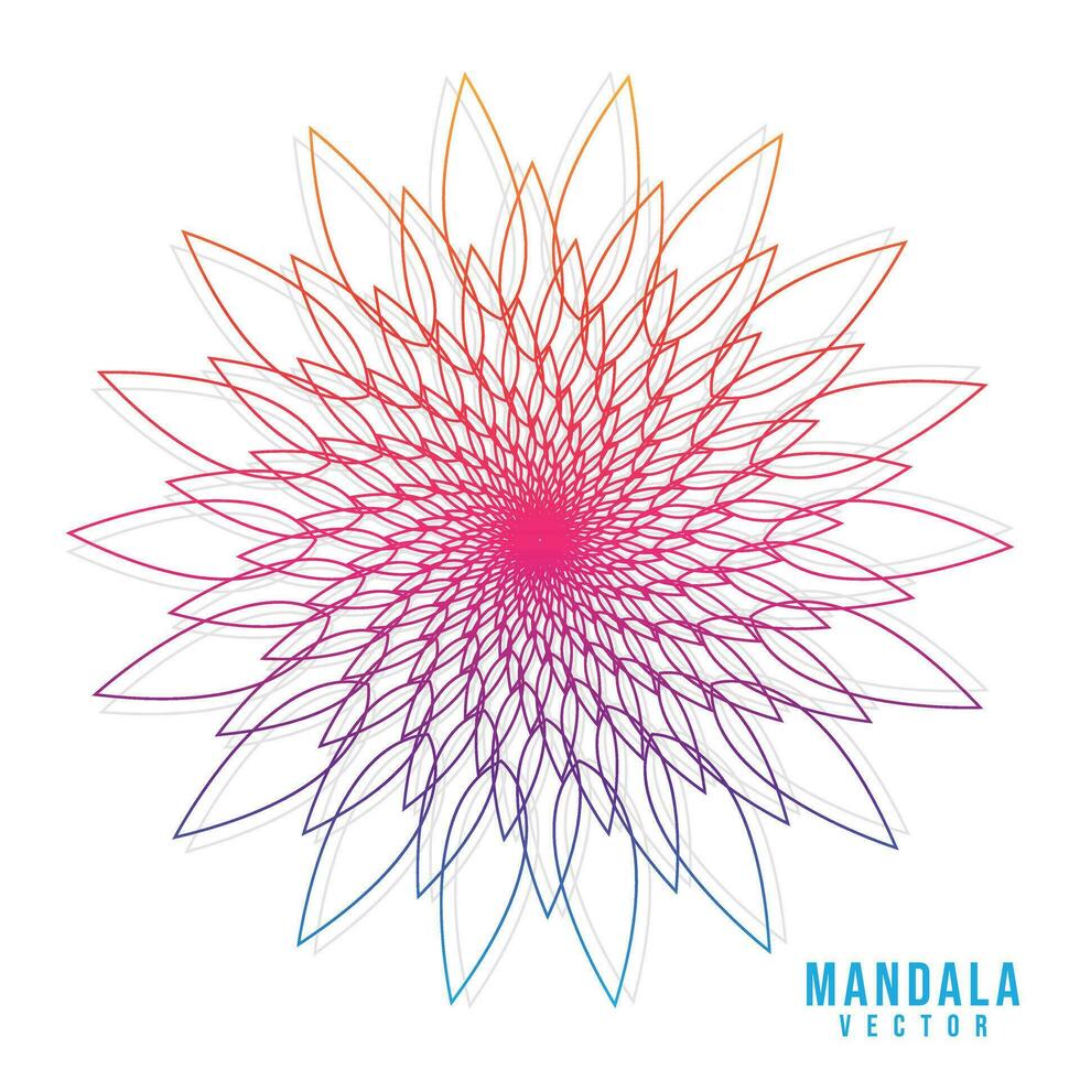 Colorful gradient simple unique mandala design on white background vector