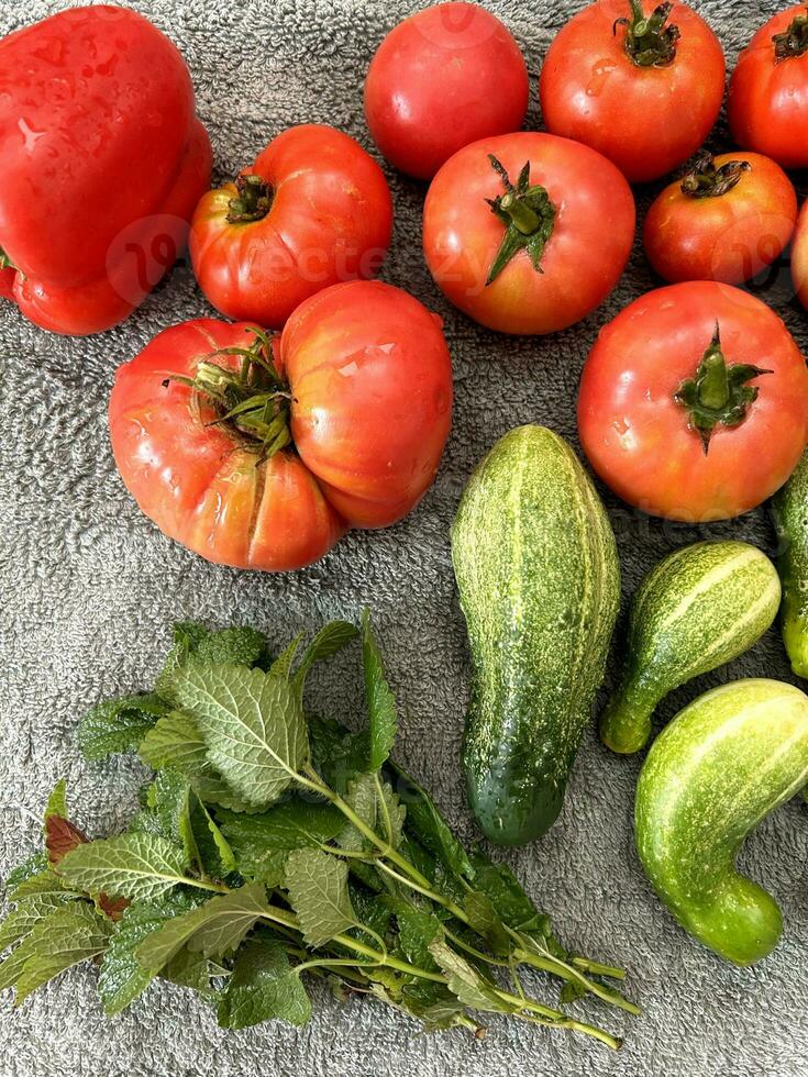 Healthy nutrition Ingredients. Cucumbers and tomatoes, salad greens. Healthy vegetable nutrition. Weight loss program. Heap of whole wet tomatoes and cucumbers on grey terry towel. Top view point photo