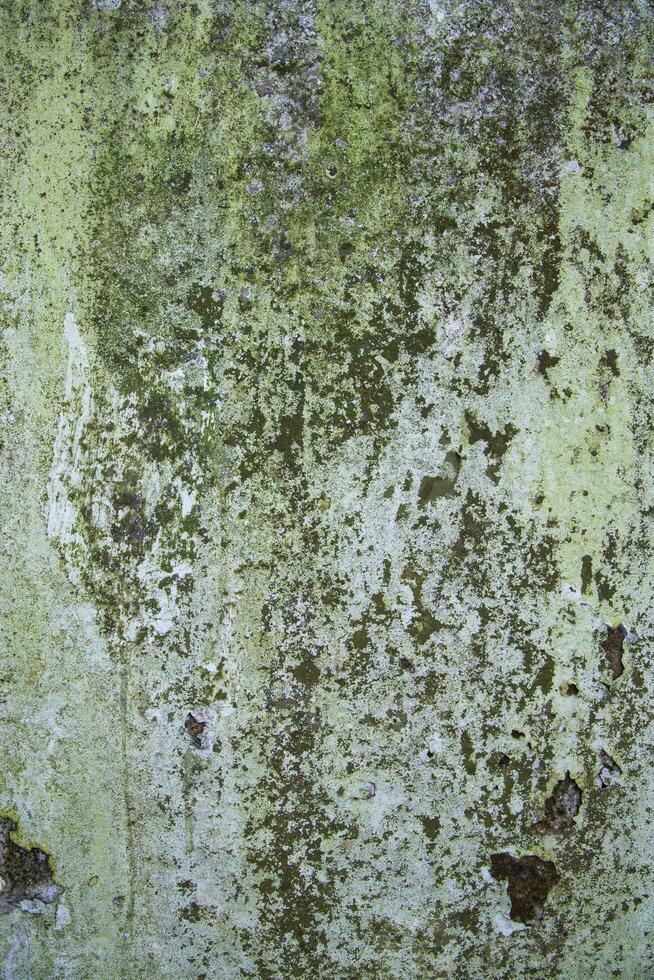 Old Grunge wall abstract Texture Can be used as a background wallpaper photo